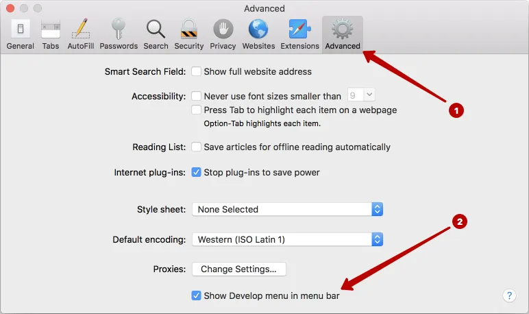 Show section Develop menu in Safari on macOS