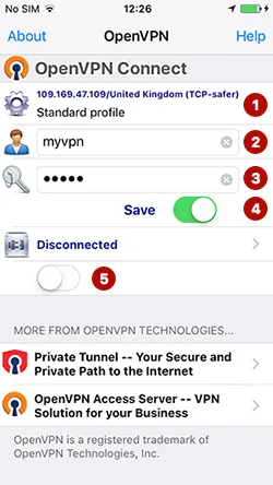 Enter the login and password for OpenVPN connections on iPhone