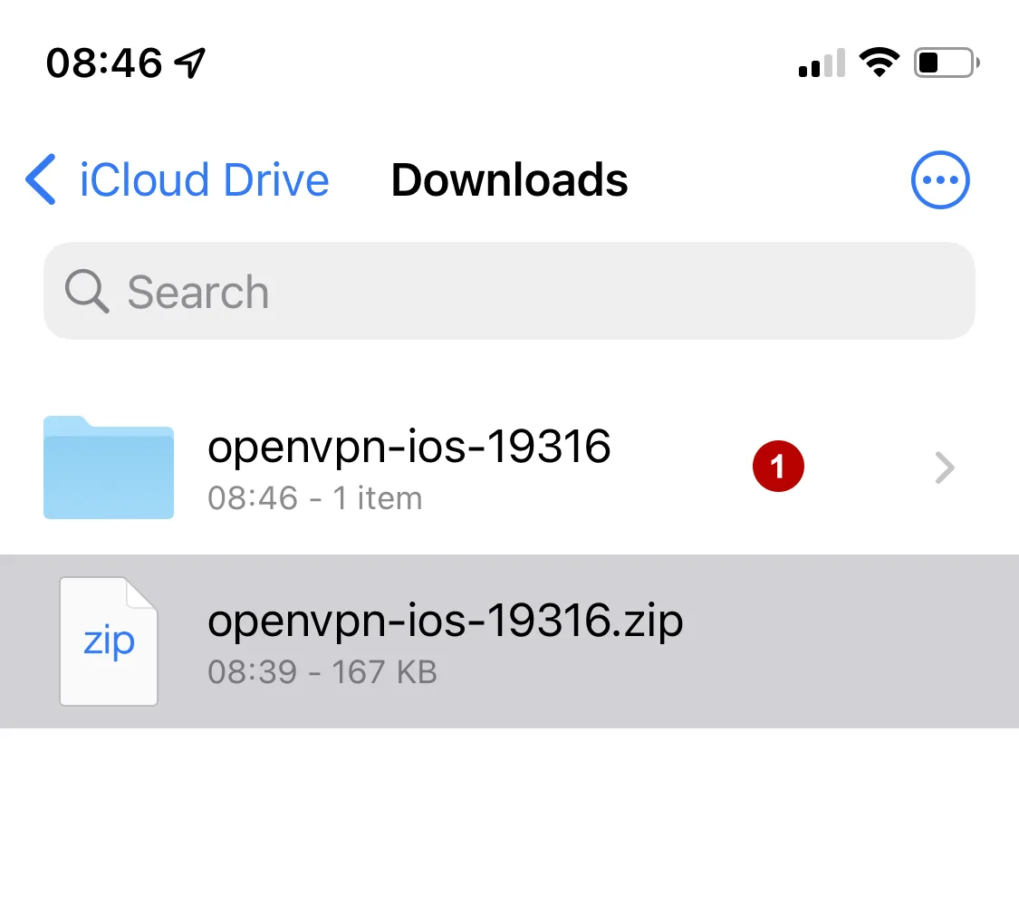 OpenVPN config files on iOS 15