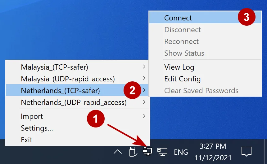 Connection to OpenVPN server on Windows 10