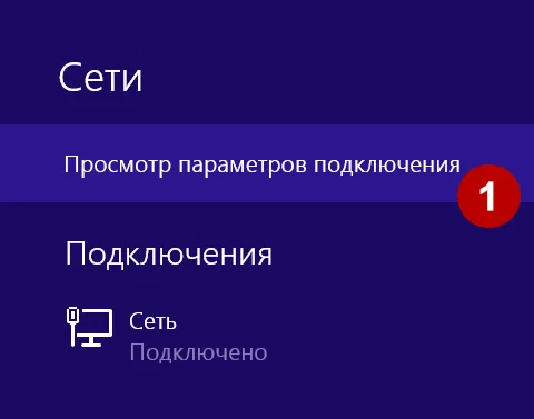 Параметры подключения Windows 8