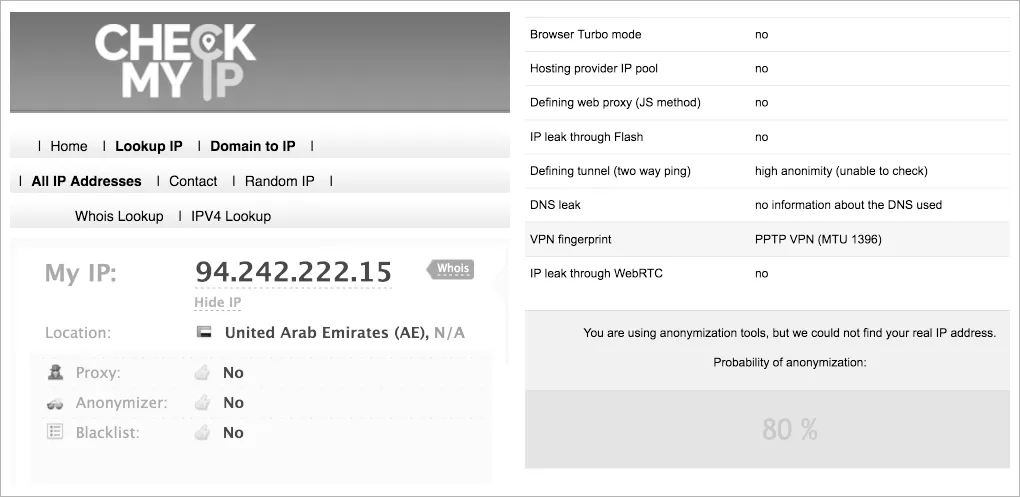 Ip checker. Check IP. Anonymization data Cleaning Chain of anonimity.