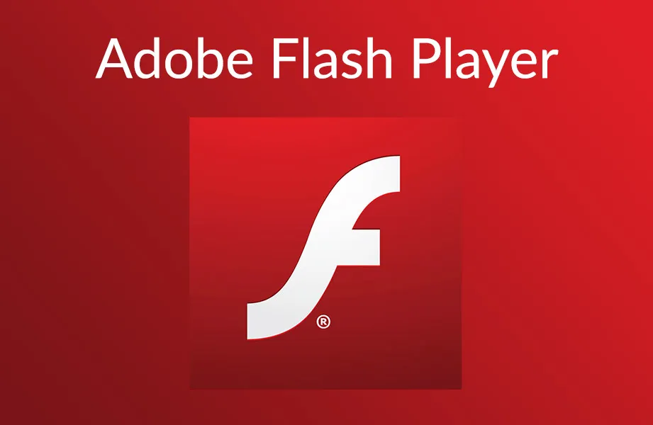 Log of Adobe Flash