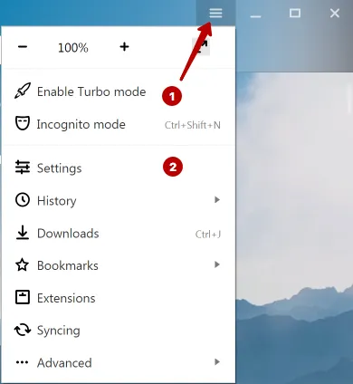 Settings Yandex Browser