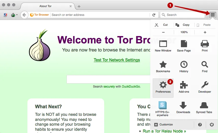 Раздел настройки Tor Browser