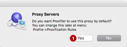 Use proxy by default in Proxifier