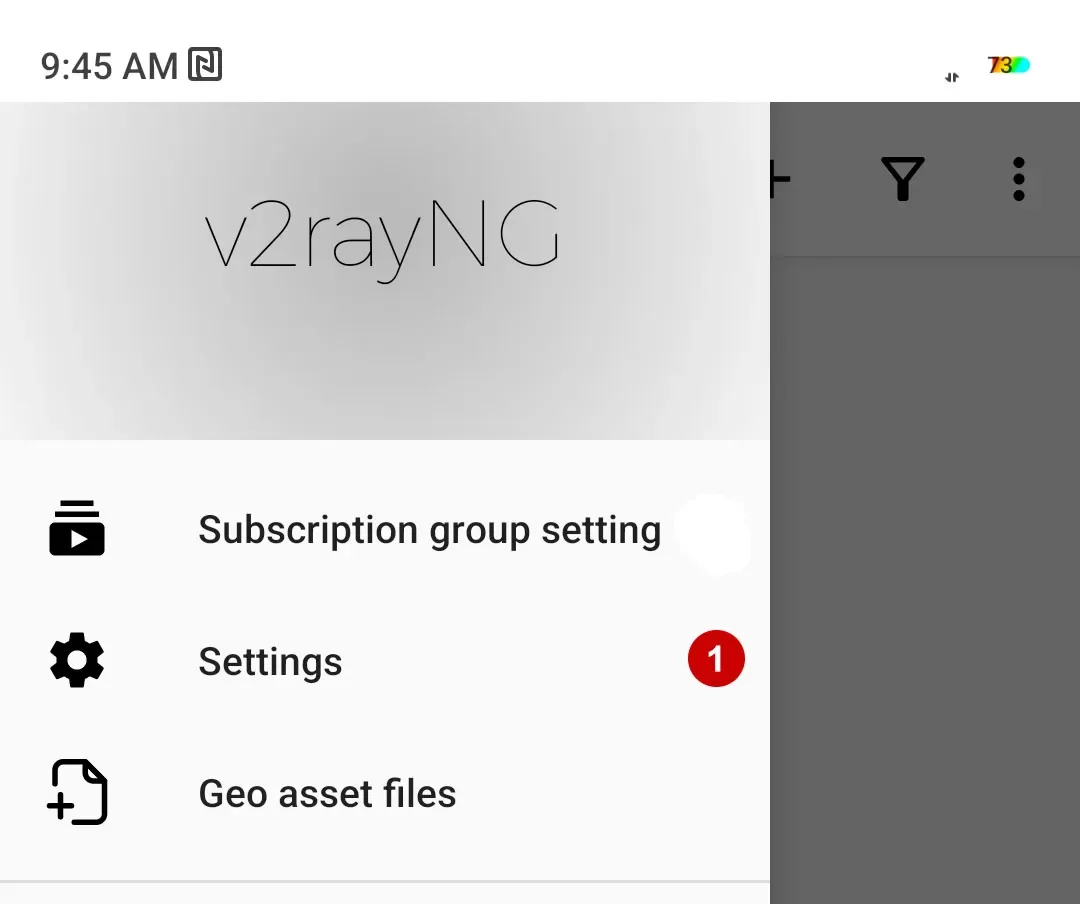 Application settings in v2rayng on Android