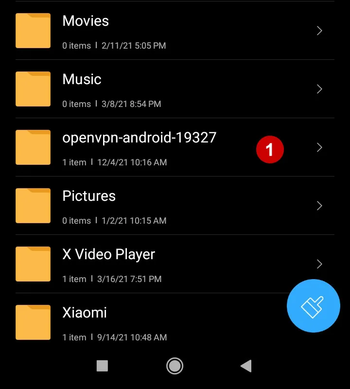 Folder with OpenVPN files on Android 10