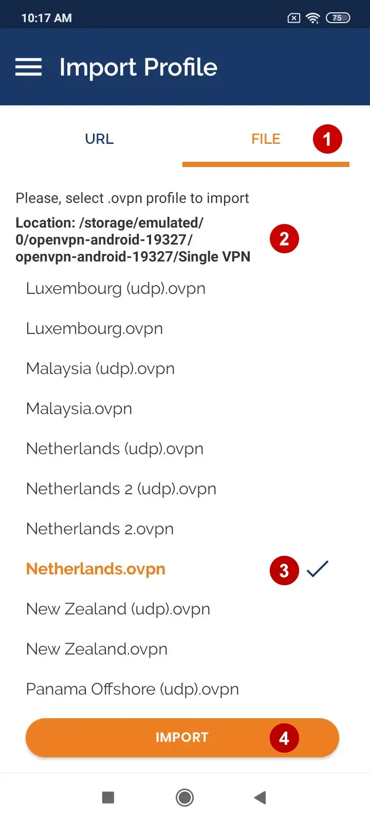 Выберите OpenVPN подключение для импорта на Android 10