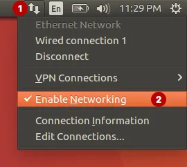 Disable the network in Ubuntu to fix DNS leak