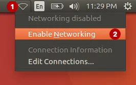 Enable networking in Ubuntu to fix DNS leak