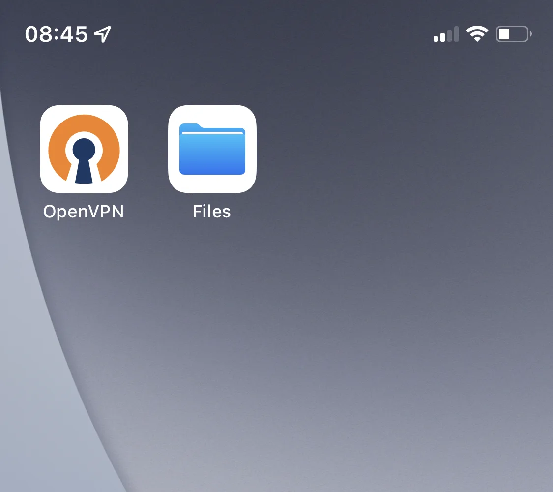 OpenVPN Connect and Files on iOS 15