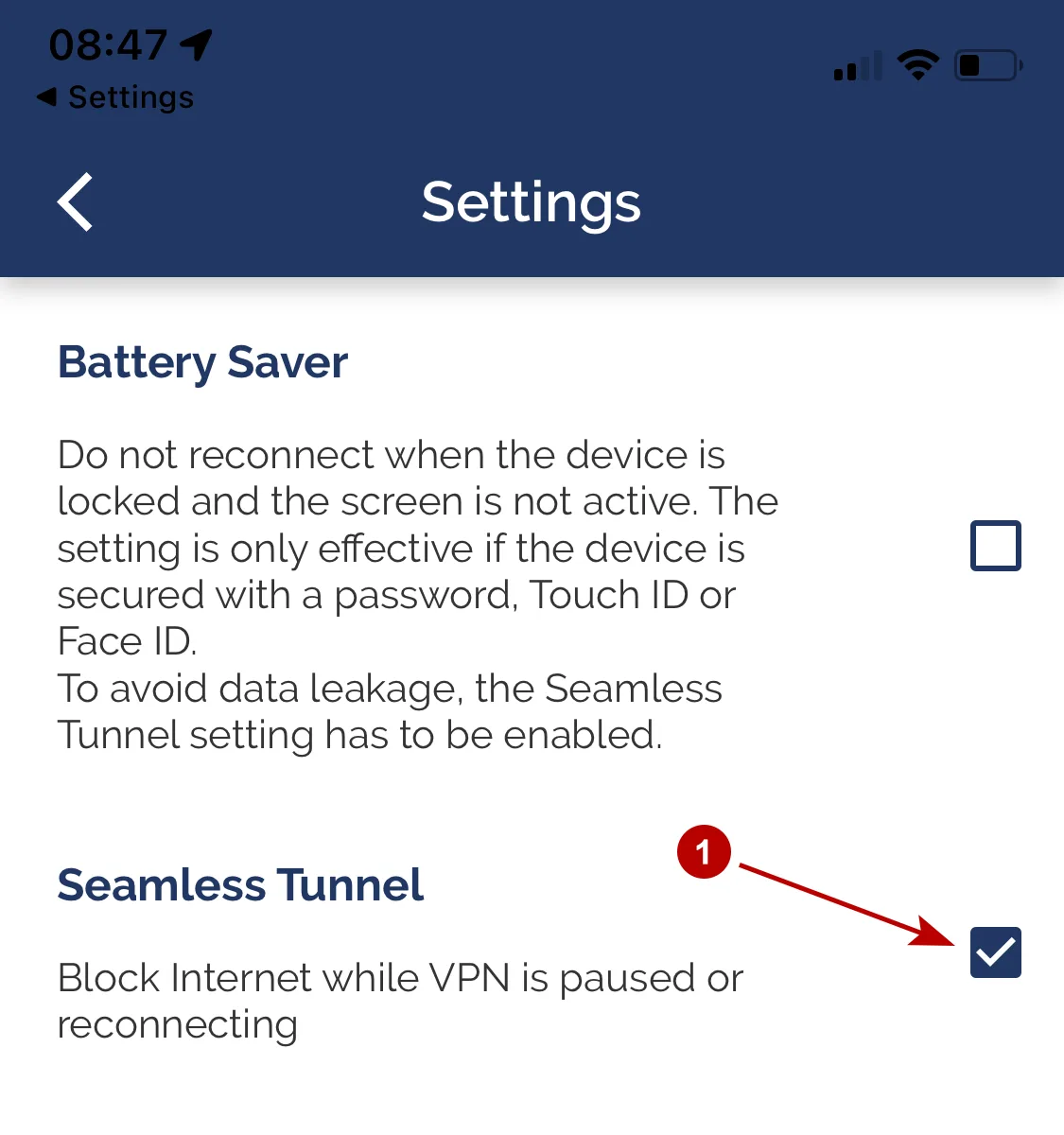 Блокировать Интернет в OpenVPN на iOS 15