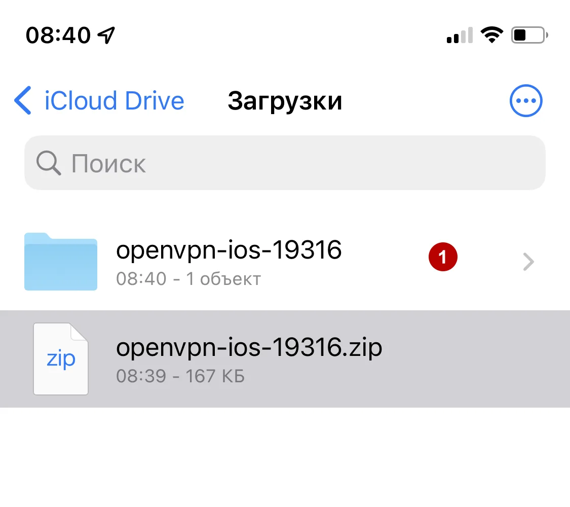 Файлы конфигураций OpenVPN на iOS 15