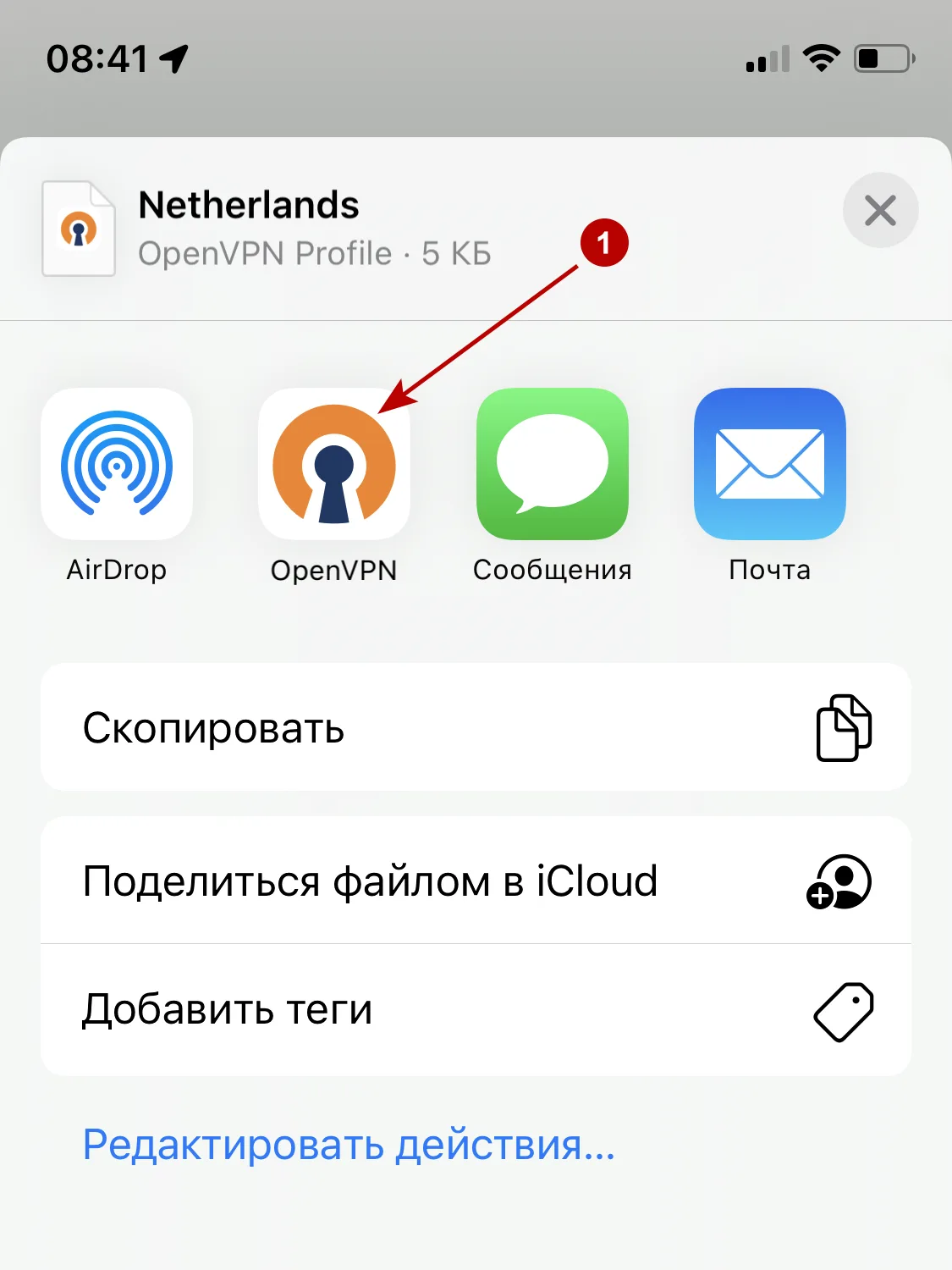 OpenVPN Connect на iOS 15
