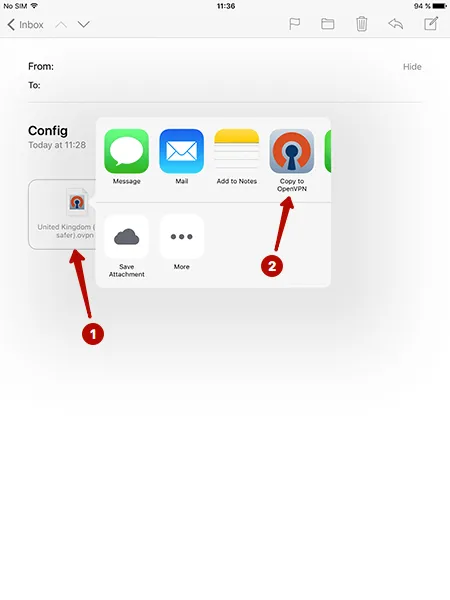 Copy files to OpenVPN on iOS