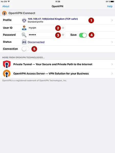 Enter the login and password for OpenVPN connections on iPad