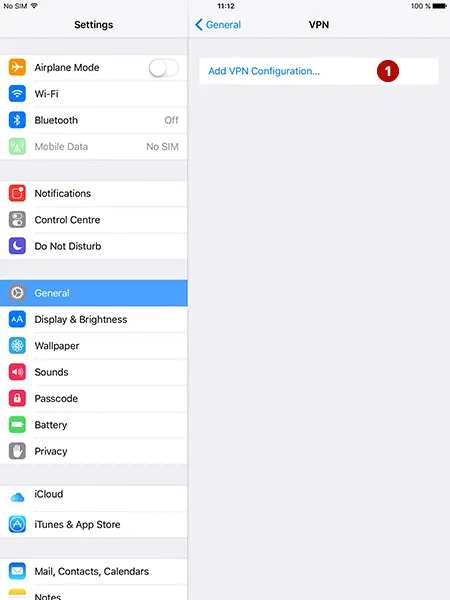 Add PPTP VPN in iOS on iPad