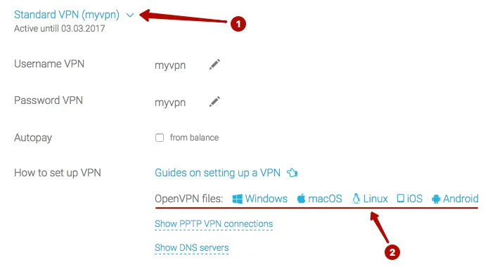 How to set up OpenVPN connection in Windows 10