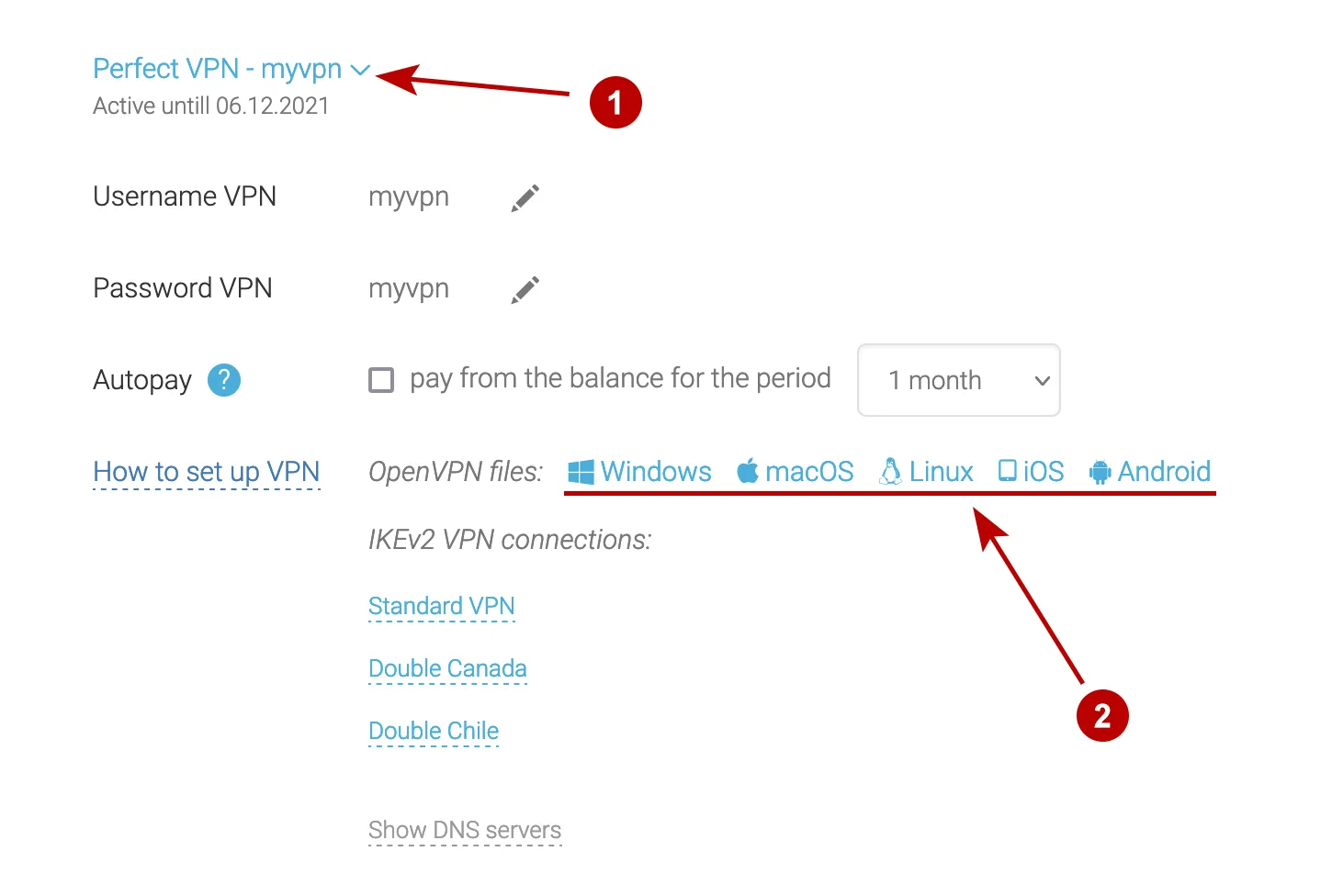 OpenVPN config files