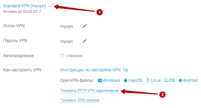 Посмотреть список PPTP VPN серверов