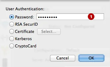 Password PPTP VPN connection on macOS
