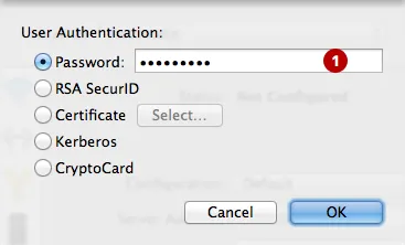 Пароль PPTP VPN Connection на macOS