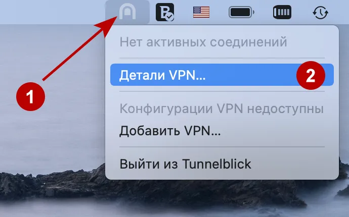 Детали VPN в программе Tunnelblick на macOS