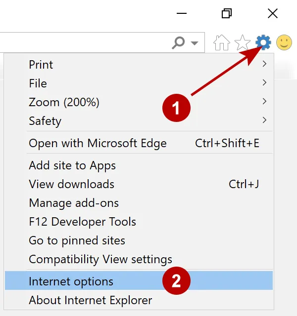 Internet Explorer Browser Options on Windows