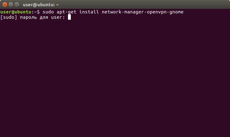 Установка OpenVPN в Ubuntu