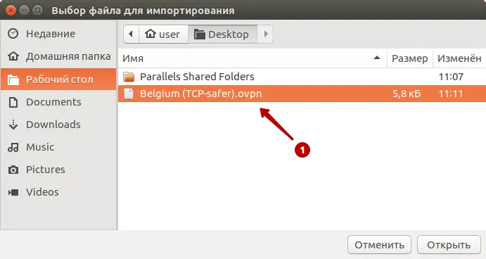 Выберите файл OpenVPN в Ubuntu