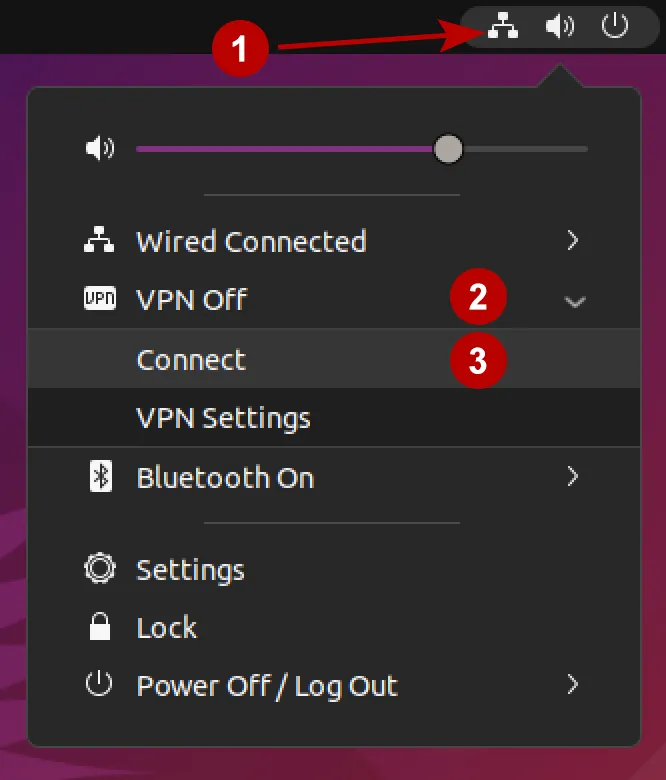 Successful connection to OpenVPN on Ubuntu 21