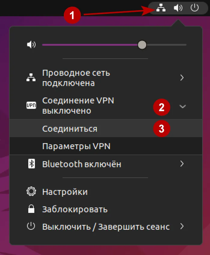 Успешное подключение к OpenVPN в Ubuntu 21
