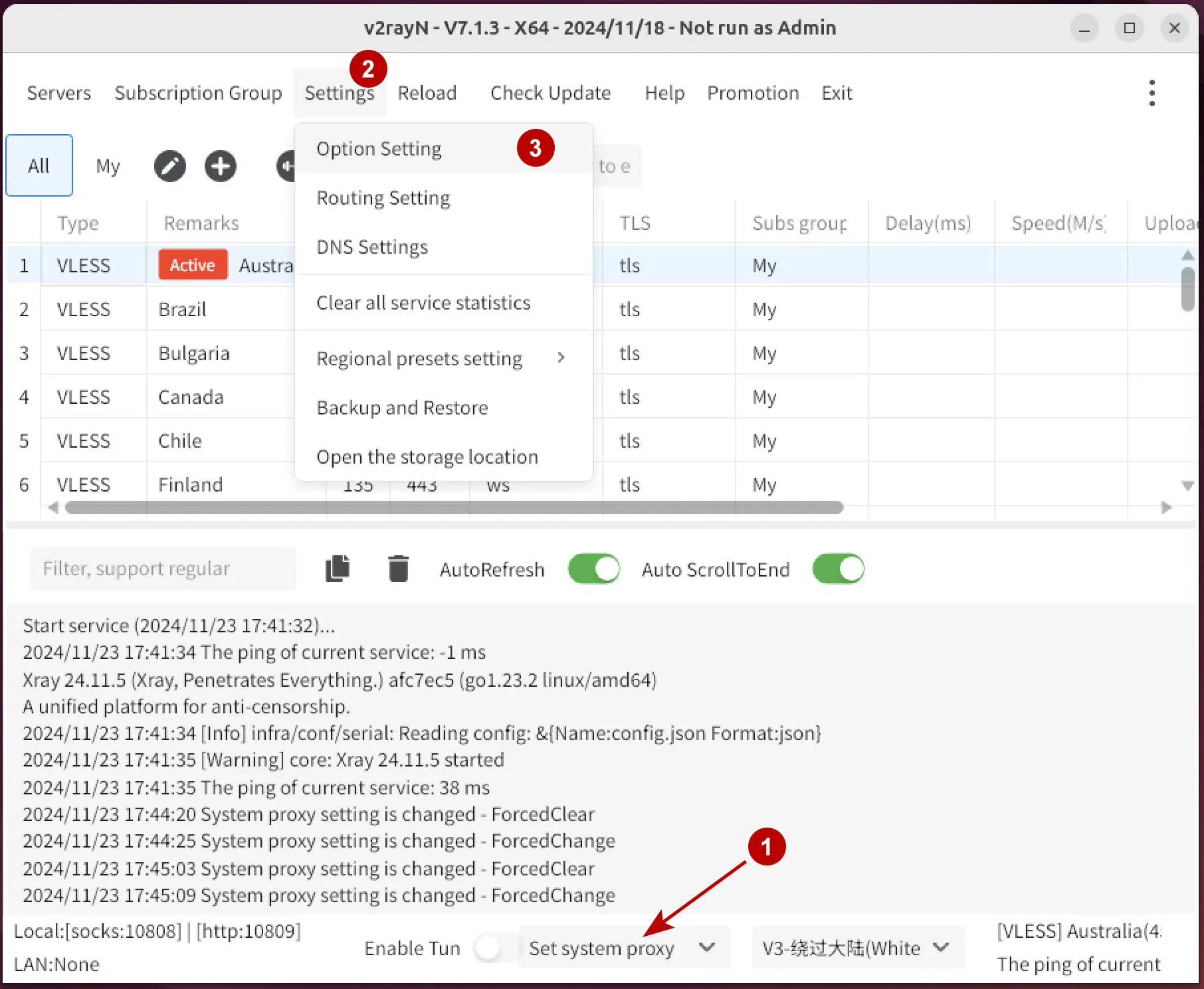 Settings for the v2rayN program on Ubuntu 24