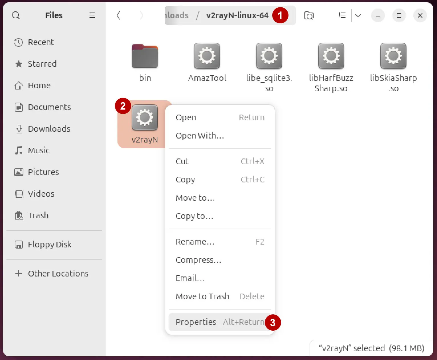 Properties of v2rayN on Ubuntu 24