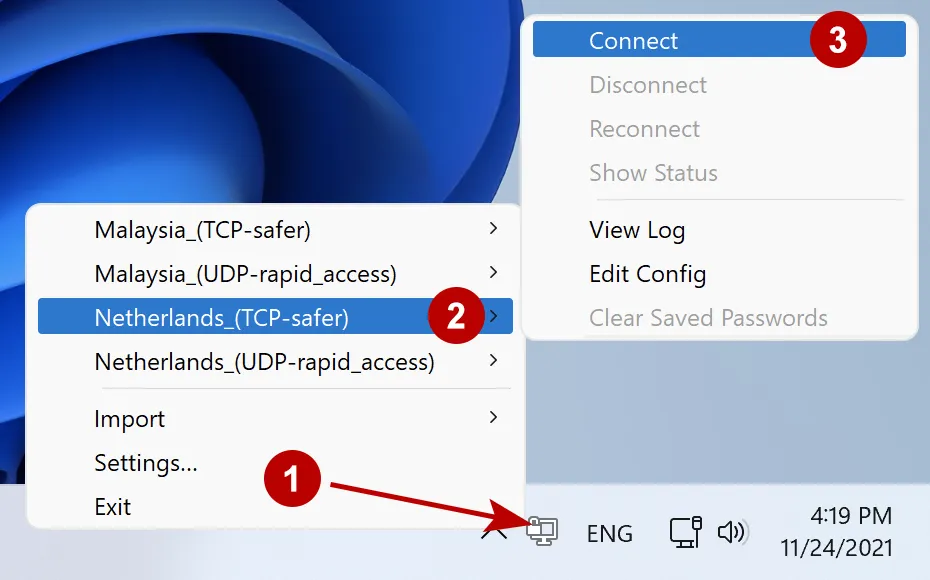 Connection to OpenVPN server on Windows 11