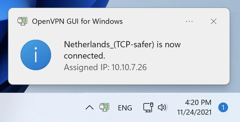 Successful connection to OpenVPN on Windows 11