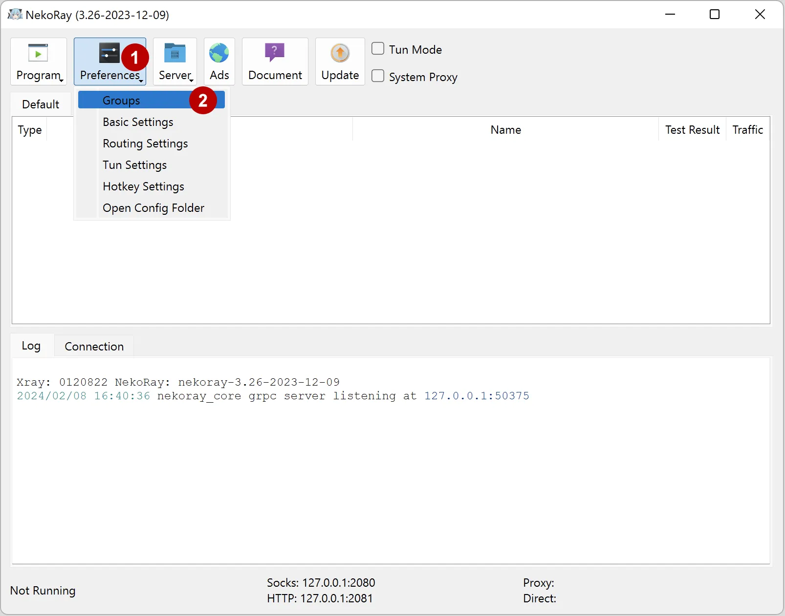 Настройки xVPN в Nekoray на Windows 11