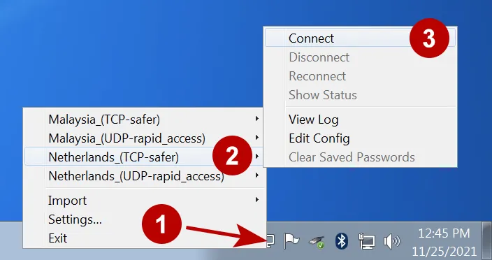 Connecting to the OpenVPN server on Windows 7