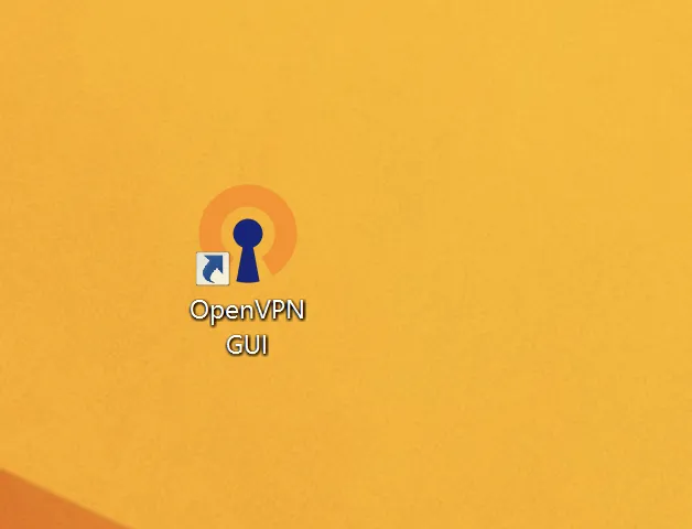 Run OpenVPN on Windows 8