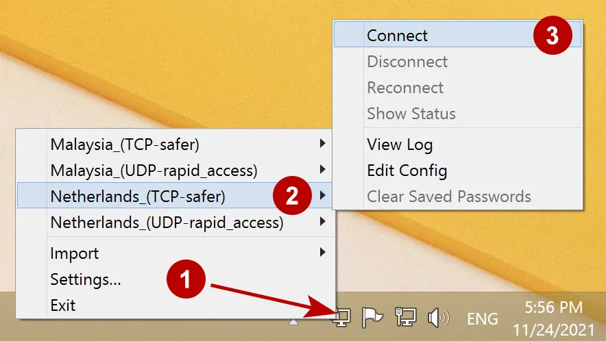 Connecting to the OpenVPN server on Windows 8