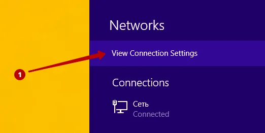 View connection settings on Windows 8